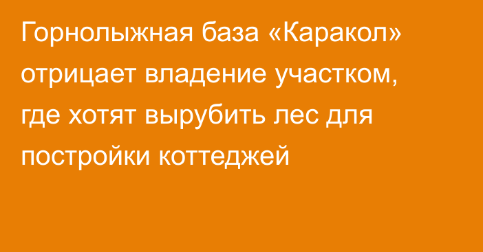 Горнолыжная база «Каракол» отрицает владение участком, где хотят вырубить лес для постройки коттеджей