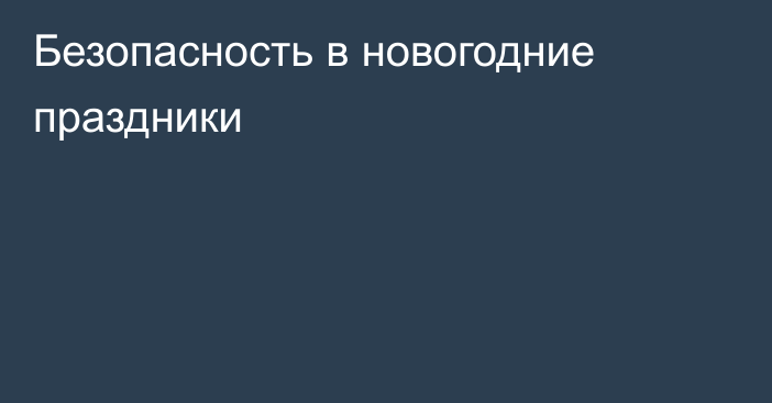 Безопасность в новогодние праздники