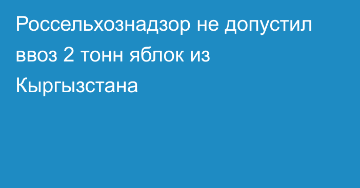 Россельхознадзор не допустил ввоз 2 тонн яблок из Кыргызстана