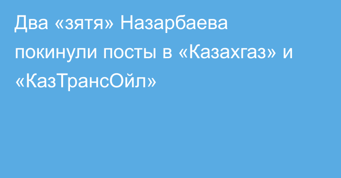 Два «зятя» Назарбаева покинули посты в «Казахгаз» и «КазТрансОйл»