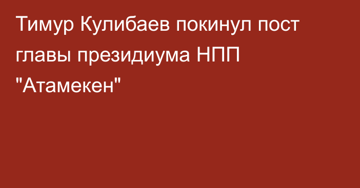 Тимур Кулибаев покинул пост главы президиума НПП 