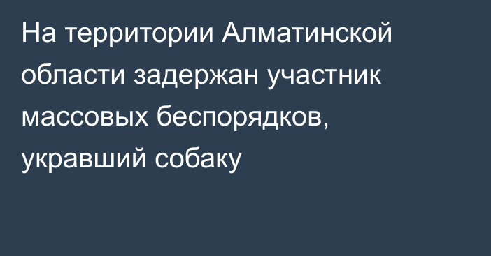 На территории Алматинской области задержан  участник массовых беспорядков, укравший собаку