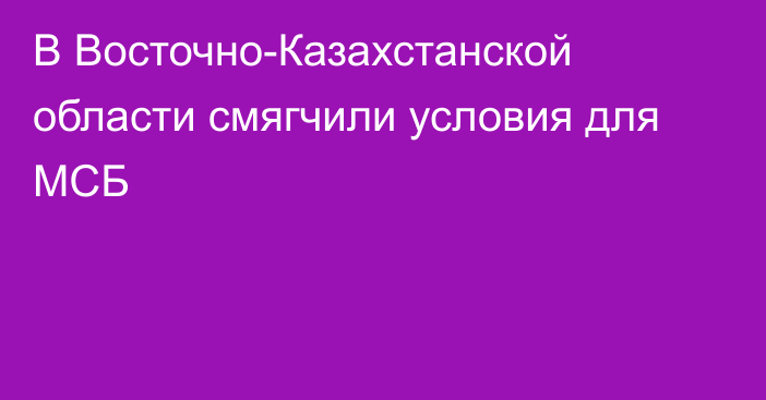 В Восточно-Казахстанской области смягчили условия для МСБ