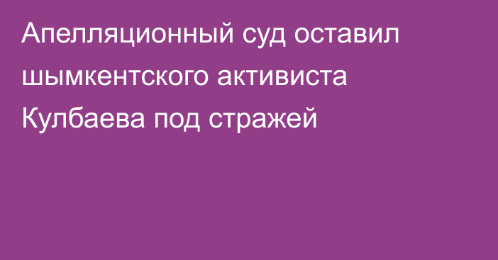 Апелляционный суд оставил шымкентского активиста Кулбаева под стражей