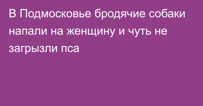 В Подмосковье бродячие собаки напали на женщину и чуть не загрызли пса