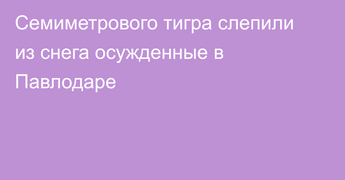 Семиметрового тигра слепили из снега осужденные в Павлодаре