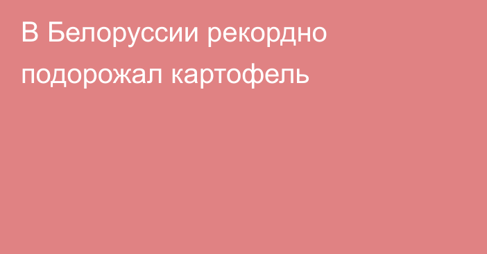 В Белоруссии рекордно подорожал картофель