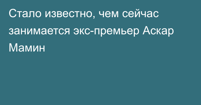 Стало известно, чем сейчас занимается экс-премьер Аскар Мамин