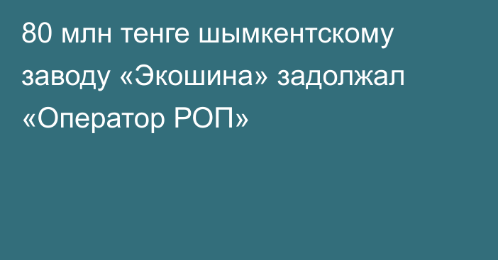 80 млн тенге шымкентскому заводу «Экошина» задолжал «Оператор РОП»