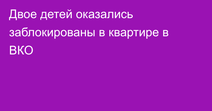 Двое детей оказались заблокированы в квартире в ВКО