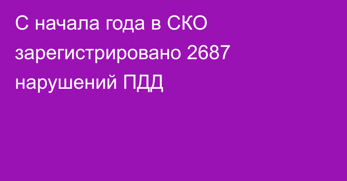 С начала года в СКО зарегистрировано 2687 нарушений ПДД