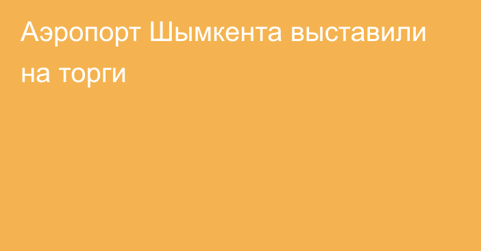 Аэропорт Шымкента выставили на торги