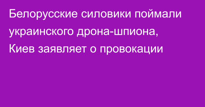 Белорусские силовики поймали украинского дрона-шпиона, Киев заявляет о провокации