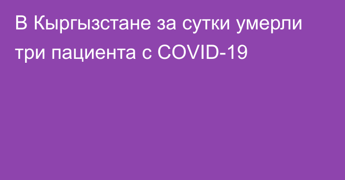 В Кыргызстане за сутки умерли три пациента с COVID-19