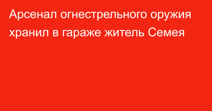 Арсенал огнестрельного оружия хранил в гараже житель Семея