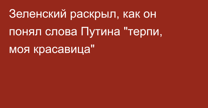 Зеленский раскрыл, как он понял слова Путина 