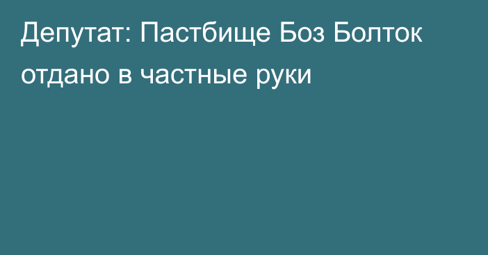 Депутат: Пастбище Боз Болток отдано в частные руки 