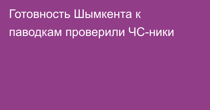 Готовность Шымкента к паводкам проверили ЧС-ники