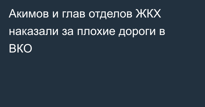 Акимов и глав отделов ЖКХ наказали за плохие дороги в ВКО