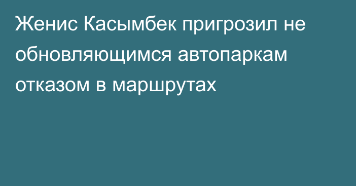 Женис Касымбек пригрозил не обновляющимся автопаркам отказом в маршрутах