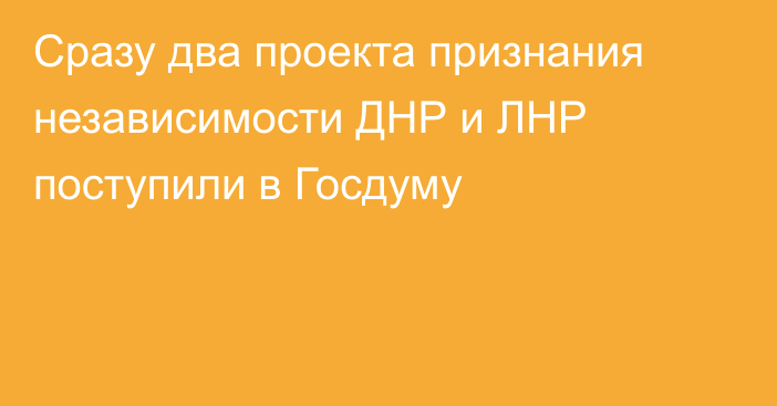 Сразу два проекта признания независимости ДНР и ЛНР поступили в Госдуму