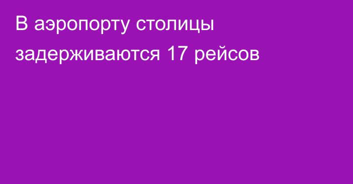 В аэропорту столицы задерживаются 17 рейсов