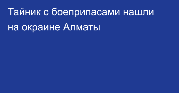 Тайник с боеприпасами нашли на окраине Алматы