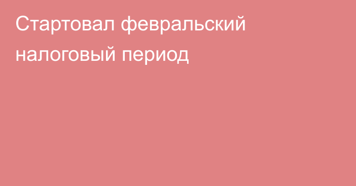 Стартовал февральский налоговый период