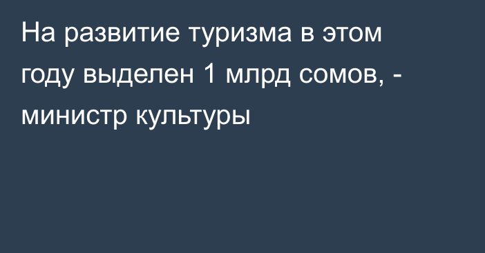 На развитие туризма в этом году выделен 1 млрд сомов, - министр культуры