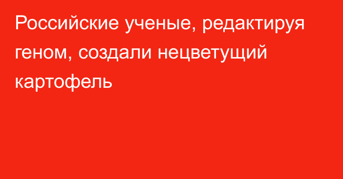 Российские ученые, редактируя геном, создали нецветущий картофель