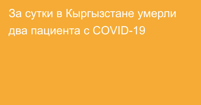 За сутки в Кыргызстане умерли два пациента с COVID-19