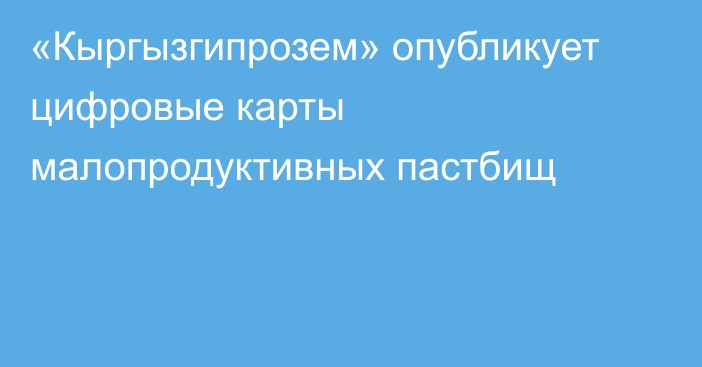 «Кыргызгипрозем» опубликует цифровые карты малопродуктивных пастбищ