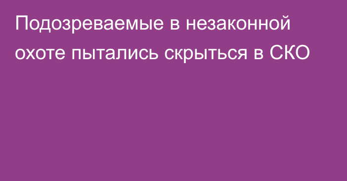 Подозреваемые в незаконной охоте пытались скрыться в СКО