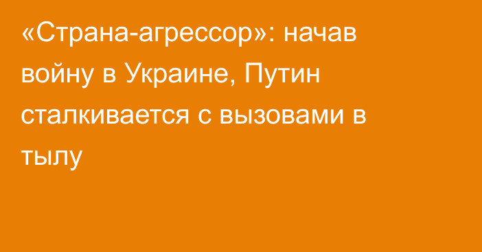 «Страна-агрессор»: начав войну в Украине, Путин сталкивается с вызовами в тылу