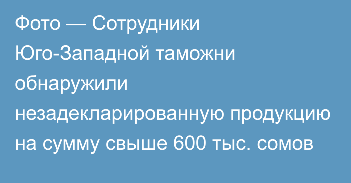 Фото — Сотрудники Юго-Западной таможни обнаружили незадекларированную продукцию на сумму свыше 600 тыс. сомов