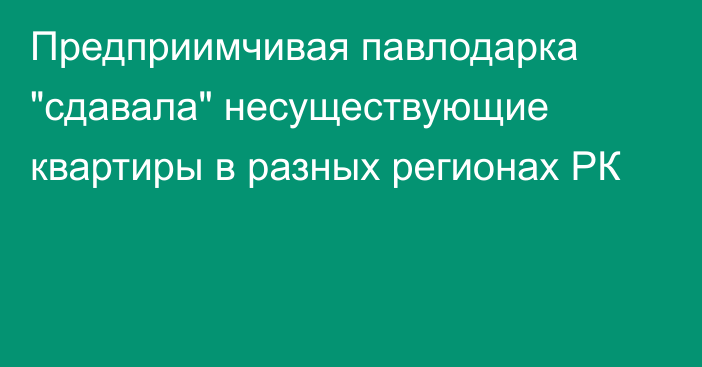 Предприимчивая павлодарка 