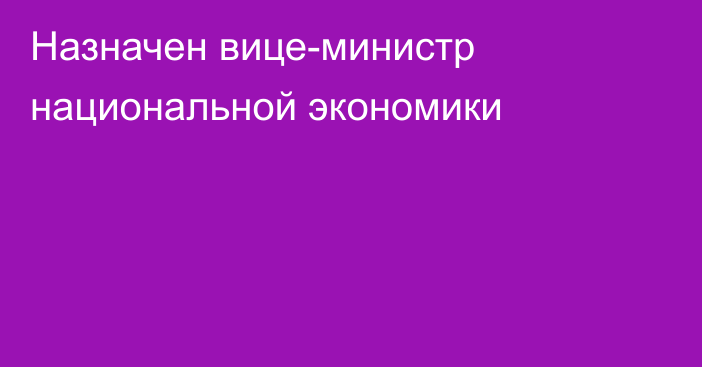 Назначен вице-министр национальной экономики