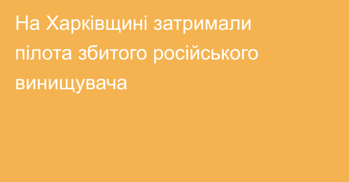 На Харківщині затримали пілота збитого російського винищувача