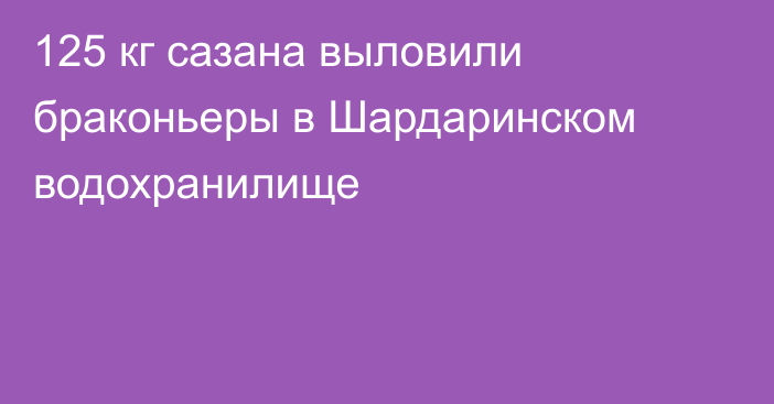 125 кг сазана выловили браконьеры в Шардаринском водохранилище