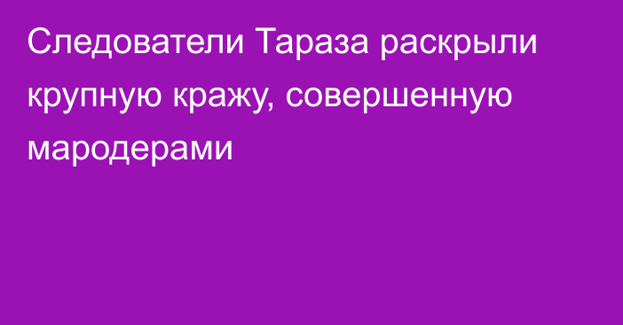 Следователи Тараза раскрыли крупную кражу, совершенную мародерами