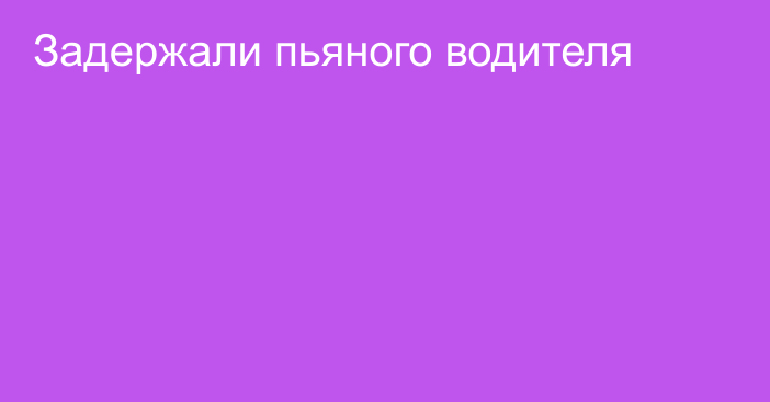 Задержали пьяного водителя