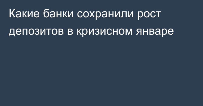 Какие банки сохранили рост депозитов в кризисном январе