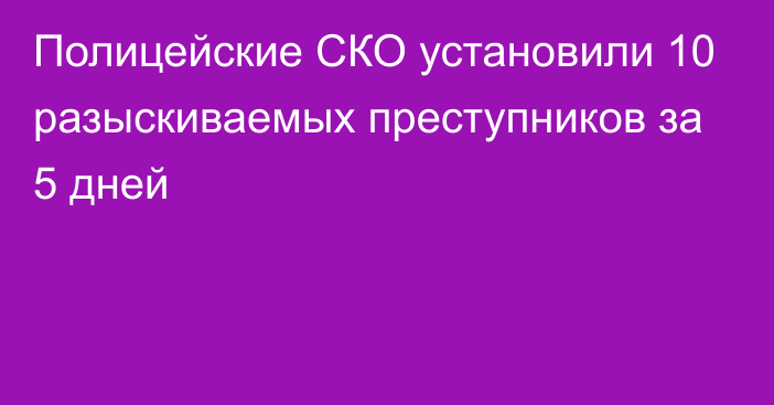 Полицейские СКО установили 10 разыскиваемых преступников за 5 дней