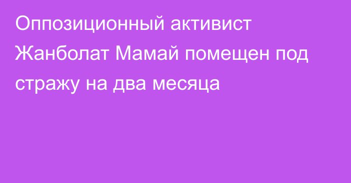 Оппозиционный активист Жанболат Мамай помещен под стражу на два месяца