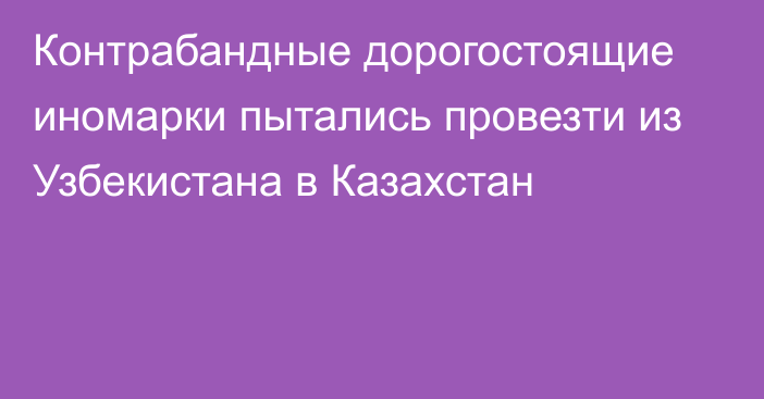 Контрабандные дорогостоящие иномарки пытались провезти из Узбекистана в Казахстан