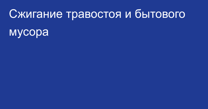 Сжигание травостоя и бытового мусора