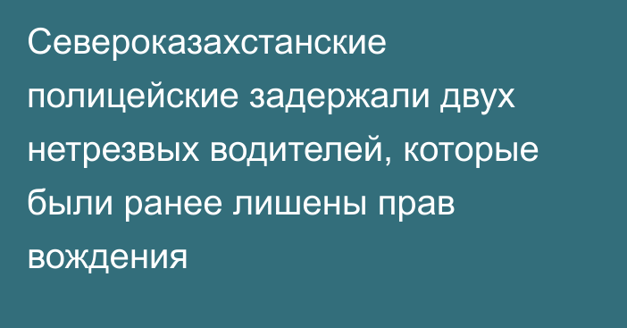 Североказахстанские полицейские задержали двух нетрезвых водителей, которые были ранее лишены прав вождения