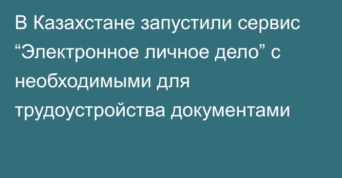 В Казахстане запустили сервис “Электронное личное дело” с необходимыми для трудоустройства документами