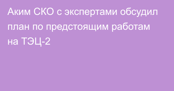 Аким СКО с экспертами обсудил план по предстоящим работам на ТЭЦ-2