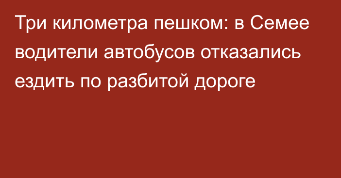 Три километра пешком: в Семее водители автобусов отказались ездить по разбитой дороге